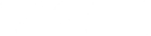 VGN